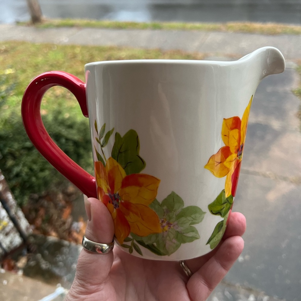 Pioneer Woman Holiday Cheer Poinsettia 4-Cup Love Beyond Measure Pitcher